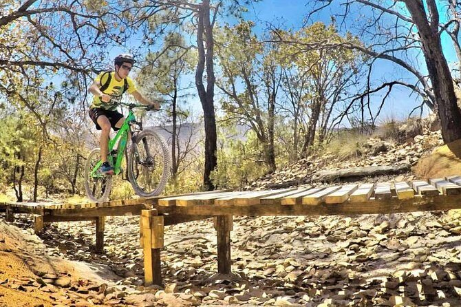 Mountain Biking Tour at La Primavera Forest - Breaking Down the Experience: What to Expect