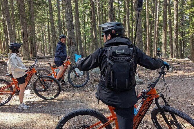 Mountain Breeze Tour - Mountain E Bike - Whistler Marmot Activity - An Introduction to the Whistler E-Bike Experience