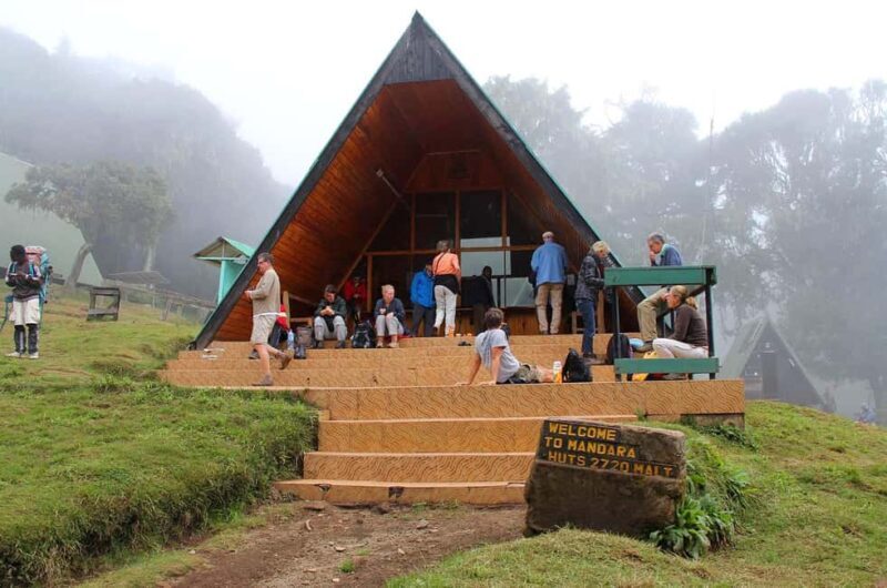 Mountain Kilimanjaro Day Hike - Who is this tour best for?