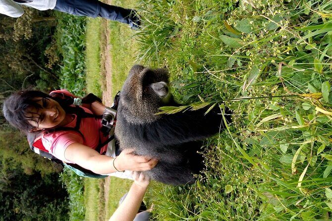 Mountain Kilimanjaro Day Hike - Authentic Encounters and Reviews