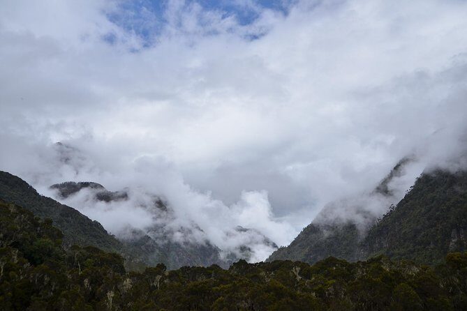 Mountain Rwenzori Trekking Uganda 9 Day Safari - The Value of the Tour