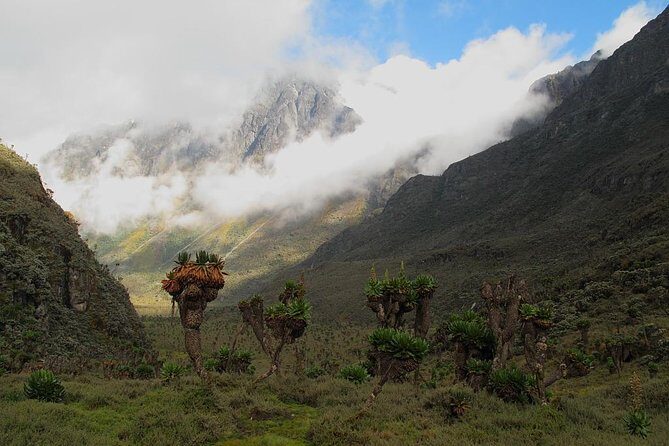 Mountain Rwenzori Trekking Uganda 9 Day Safari - FAQ