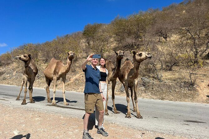 Mountain Safari, Camels, waterfalls & lunch (Group Tour) - FAQ