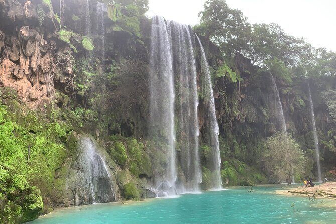 Mountain Safari Private Tour - Transportation, Duration, and Value
