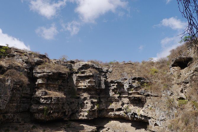 Mountain Tour - Darbat falls, Jebel Samhan, sinkholes, baobabs - Wadi Darbat: Waterfalls and Camels