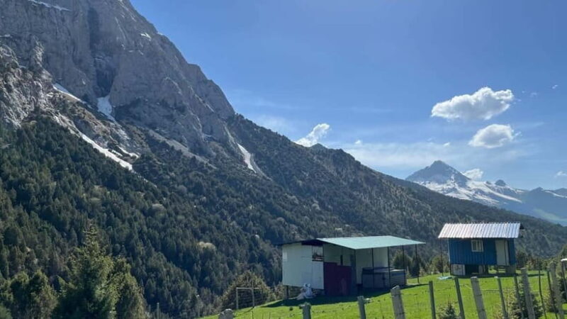 Mountain tour in Kyrgzstan dep from Tashkent - An In-Depth Look at the Mountain Tour in Kyrgyzstan from Tashkent