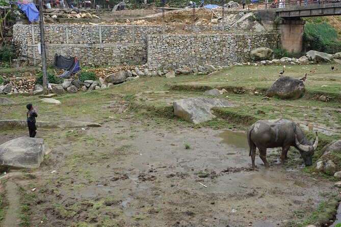 Mountain views and villages trek  1 Day - Final Thoughts: Why This Tour Works