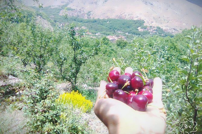 Mountains And Agafay Desert & 3 Valley & Berber Villages with Camel Rid - Authenticity and Cultural Insights