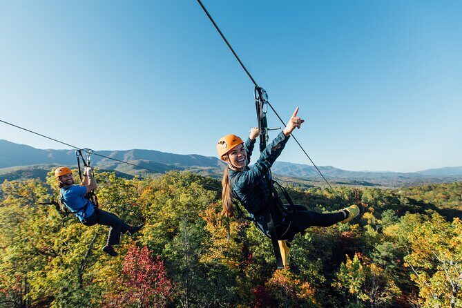 Mountaintop Zipline 2-Hours Activity - The Itinerary Breakdown