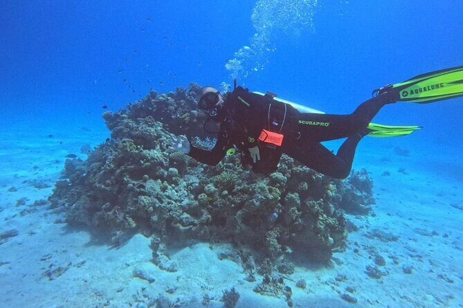 Moving Underwater 2 professional diving with lunch - What the Reviews Say