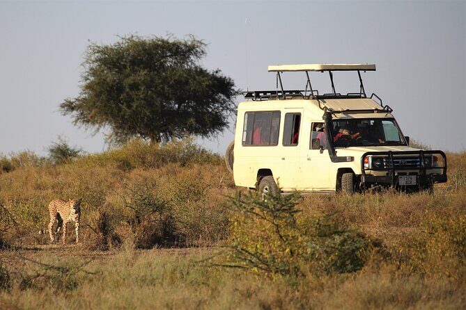 Mpanda Airport Pickup and Drop- Off to/from Katavi National Park. - Meeting Points and Accessibility