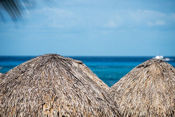 Mr. Sanchos Beach Club All-Inclusive Day Pass - Transportation & Practical Tips
