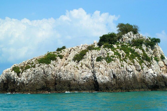 Mr. Tu Fishing Day Trip by Escort Boat from Koh Samui - FAQs