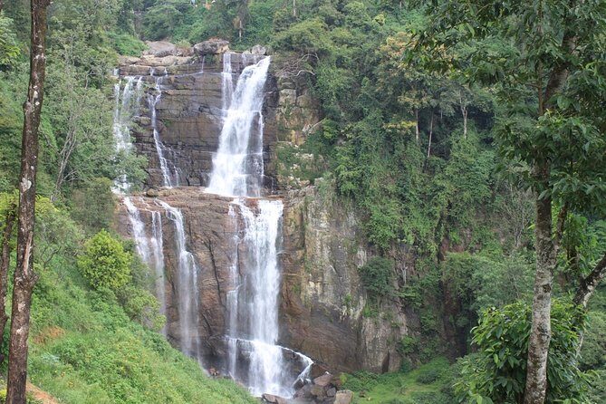 Mr.TukTuk Nuwara Eliya - The Sum Up: Is This Tour Worth It?