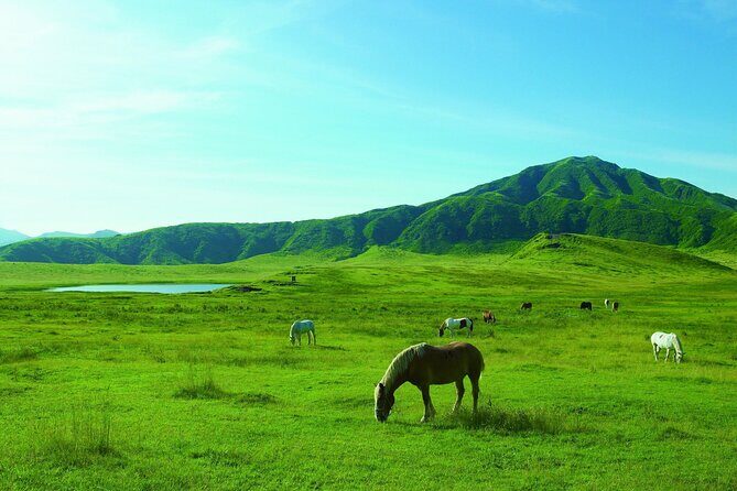 Mt. Aso and Takachiho Gorge 1Day Tour From Nobeoka Sta. Miyazaki - What to Expect from This Tour