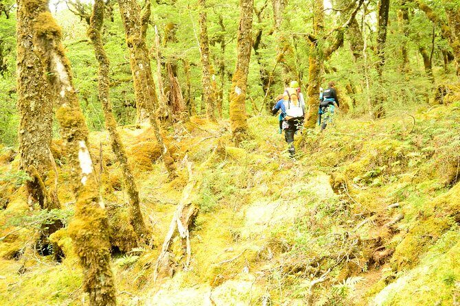 Mt Aspiring Full Day Canyon ex Queenstown or Wanaka - An In-Depth Look at the Tour