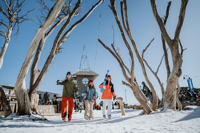Mt Buller Day Tour  Best Value Hire & Genuine 5 Hours Fun - Reviews: Real Travelers’ Perspectives