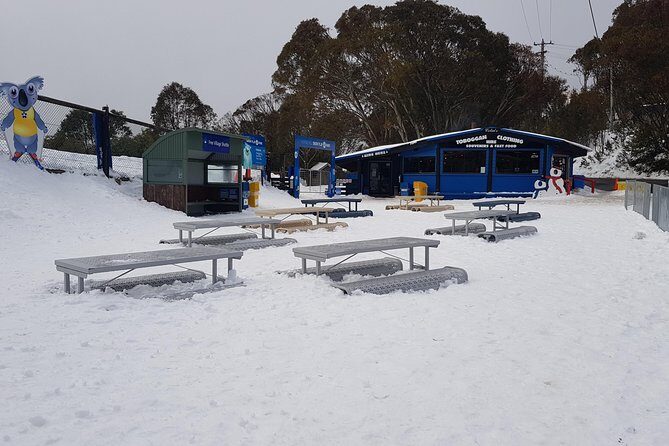 Mt Buller Day Trip from Melbourne - An In-Depth Look at the Tour Experience