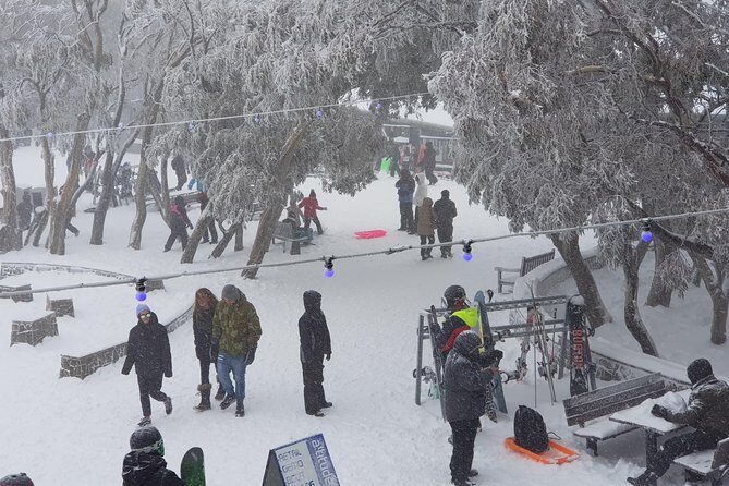 Mt Buller Day Trip from Melbourne - Final Thoughts