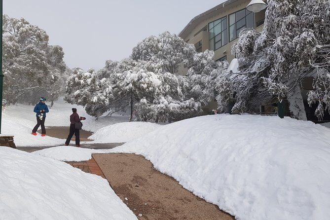 Mt Buller Day Trip from Melbourne - FAQs
