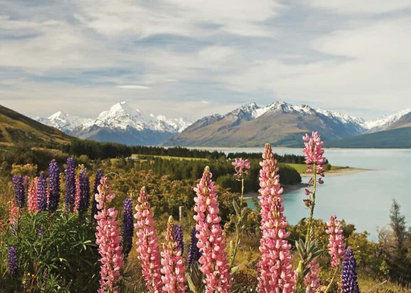 Mt. Cook Day-Tour: Christchurch to Queenstown - Key Points