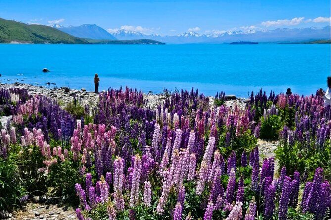 Mt. Cook Private Day Trip From Queenstown with Lake Tekapo - Sunrise at Hooker Valley and Glacial Wonders