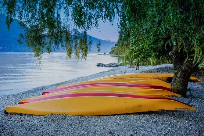 Mt Cook to Queenstown Small Group Tour (One-Way) - Practicalities and Tips