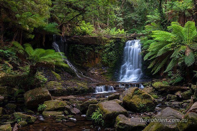 Mt Field and Styx Valley Photography Tour - Final Thoughts