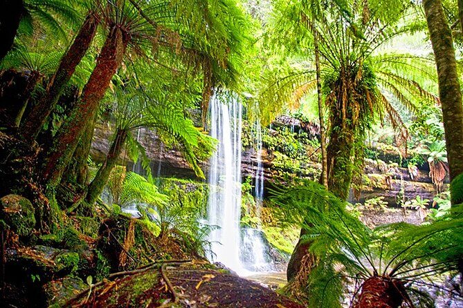 Mt Field National Park and Russell Falls from Hobart - The Sum Up