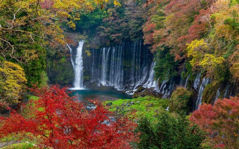 Mt Fuji : 10 hours Private Tour in Luxury Private Car - Who Should Consider This Tour?