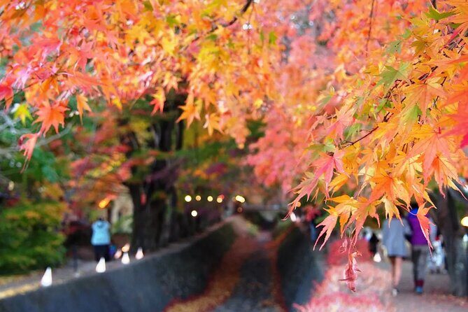 Mt Fuji 5th Station Kawaguchiko Gotemba Outlet mall Tour | Tokyo - Introduction