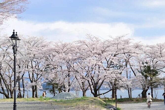 Mt Fuji 5th Station Kawaguchiko Gotemba Outlet mall Tour | Tokyo - Key Points