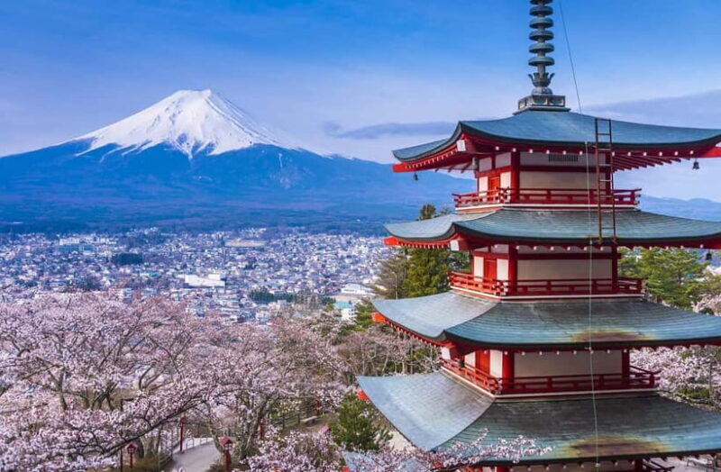 Mt. Fuji 6 Attractions Tour: Lake Kawaguchi, Oshino Hakkai - Final Verdict