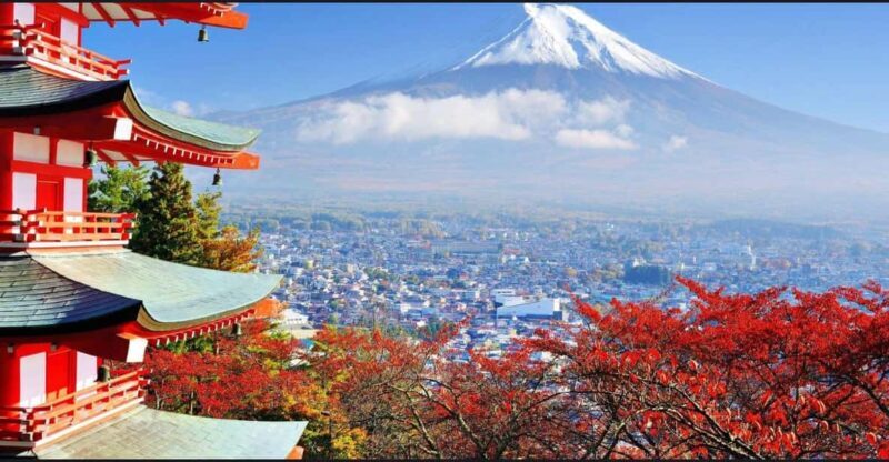 Mt.FUji and Cherry Blossom Full Day Trip with English Driver - FAQ