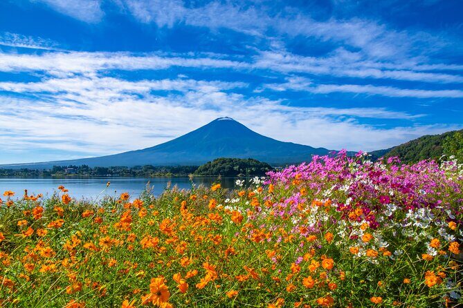 Mt. Fuji and Hakone 1 Day Bus Tour + Kimono Experience - Final Thoughts
