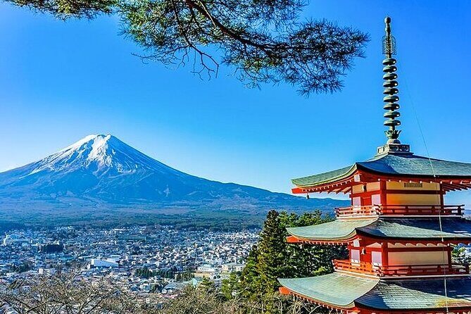 Mt. Fuji and Hakone Area Tour Tokyo DEP: English Speaking Driver - A Closer Look at the Tour Experience