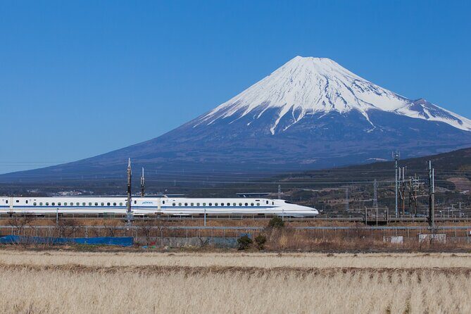 Mt. Fuji and Hakone Day Trip From Tokyo with Bullet Train Option - A Closer Look at the Itinerary and Experience