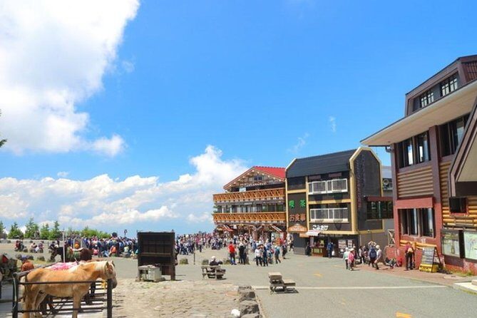Mt. Fuji and Hakone Day Trip From Tokyo with Bullet Train Option - Frequently Asked Questions