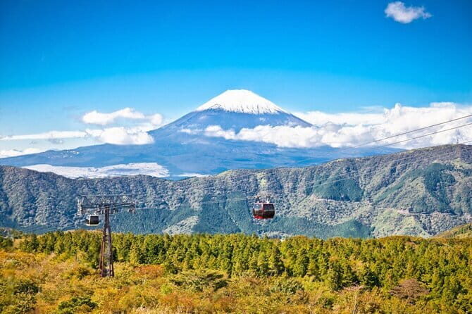 Mt Fuji and Hakone Private Day Tour - A Comprehensive Overview of the Mount Fuji and Hakone Private Tour