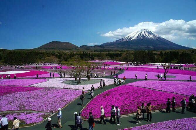Mt Fuji and Hakone Private tour in Luxury Vehicle with Pro guide - A Closer Look at the Tour Experience