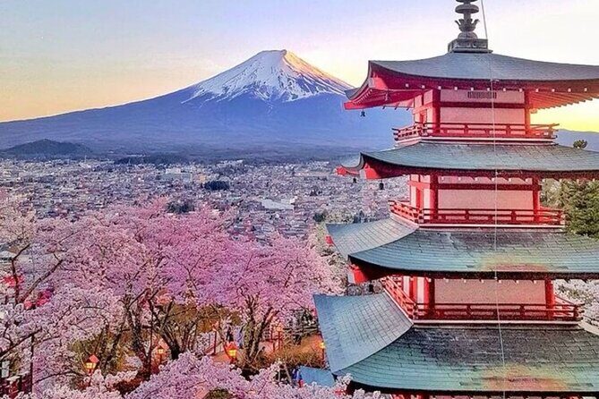 Mt Fuji and Hakone Private tour in Luxury Vehicle with Pro guide - Who Is This Tour Best For?