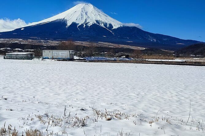 Mt. Fuji and Hakone Private Tour with English Speaking Driver - What to Expect from the Experience