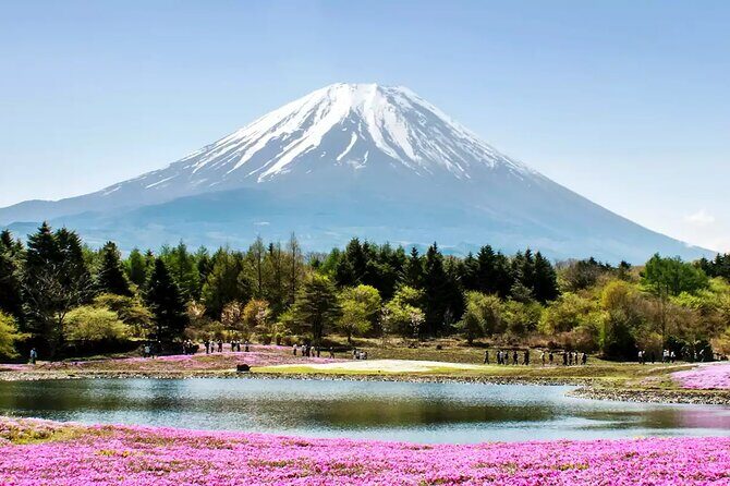Mt. Fuji and Hakone Private Tour with English Speaking Driver - The Sum Up: Who Is This Tour For?