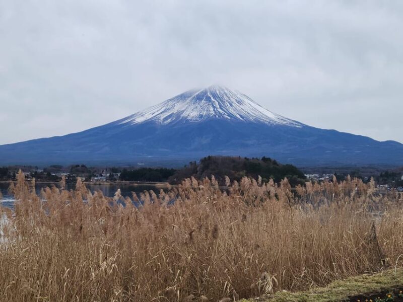Mt Fuji and Hakone Private Tour With English Speaking Driver - A Well-Balanced, Practical Look at the Tour