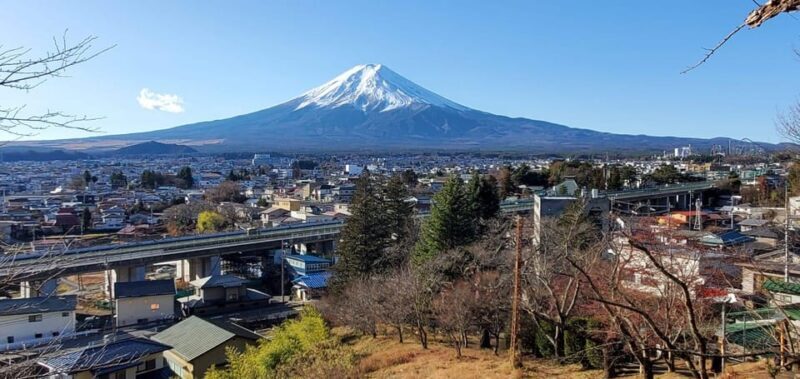 Mt Fuji and Hakone Private Tour With English Speaking Driver - The Sum Up: Who Should Consider This Tour?