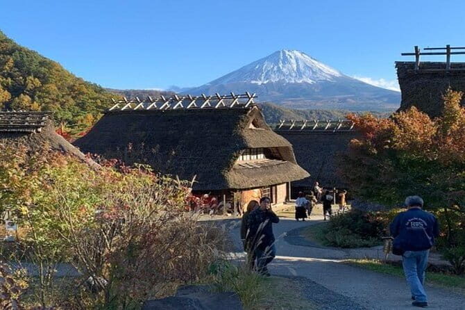 Mt. Fuji and Hakone Private Tour with English Speaking Driver - Who Will Enjoy This Tour?