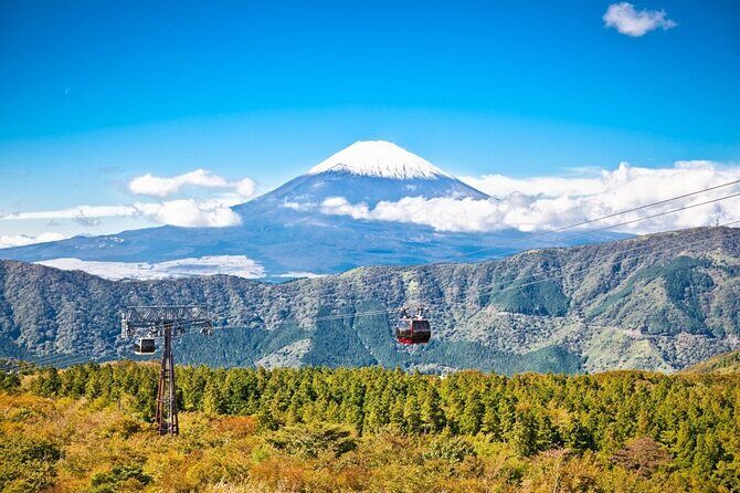 Mt. Fuji and Hakone Private Tour with English Speaking Guide - An Engaging Introduction to Your Mount Fuji and Hakone Journey
