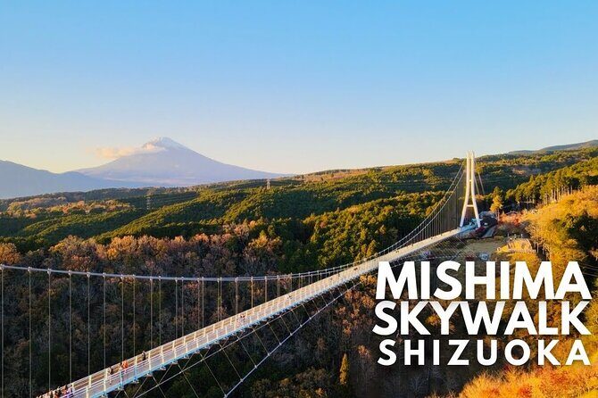 Mt. Fuji and Hakone Private Tour with English Speaking Guide - Practical Aspects and Recommendations
