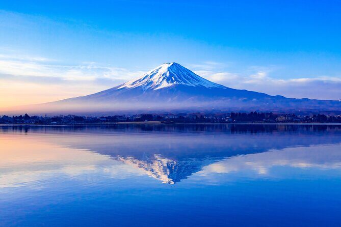 Mt.Fuji and Hakone Tour - Who Should Consider This Tour?