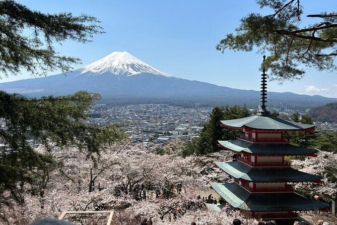 Mt Fuji and Izu Deep View 2 Day Tour from Tokyo - FAQs
